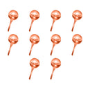 10/5PCS Auto Plant Watering Device PVC Transparent Automatic Plant Watering Bulb Self Watering Drip Irrigation System for Garden